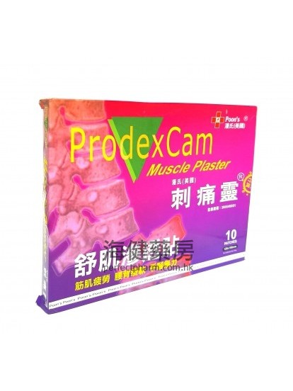 刺痛靈舒肌滲透貼 ProdexCam Muscle Plaster 10Patches 