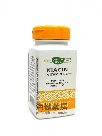 煙酸 Niacin vitamin B3 100mg 100capsules 